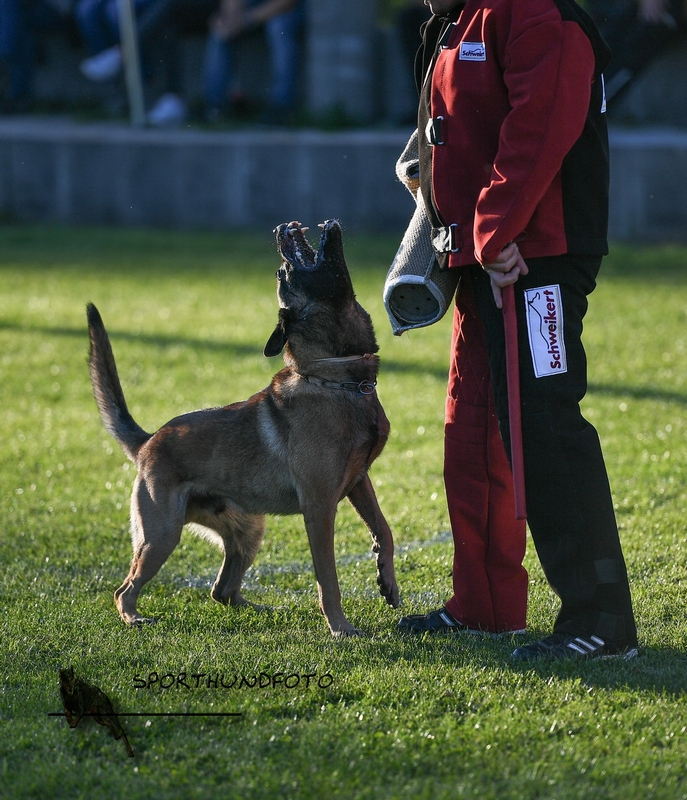 Impressionen 503.jpg